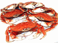 Six Dungeness Crab from Fishermen Direct Seafood
